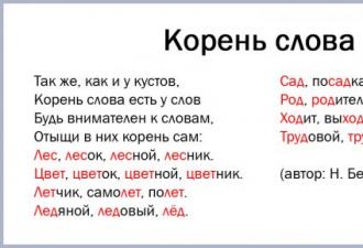 Что такое корень в русском языке определение